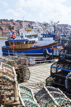 whitby harbour april 13 2012 6 sm-c98.jpg